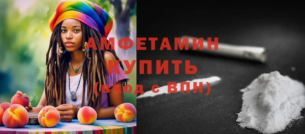 мдпв Весьегонск