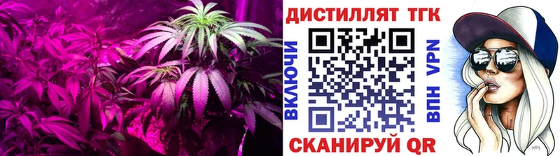 ТГК Wax  Лысьва 